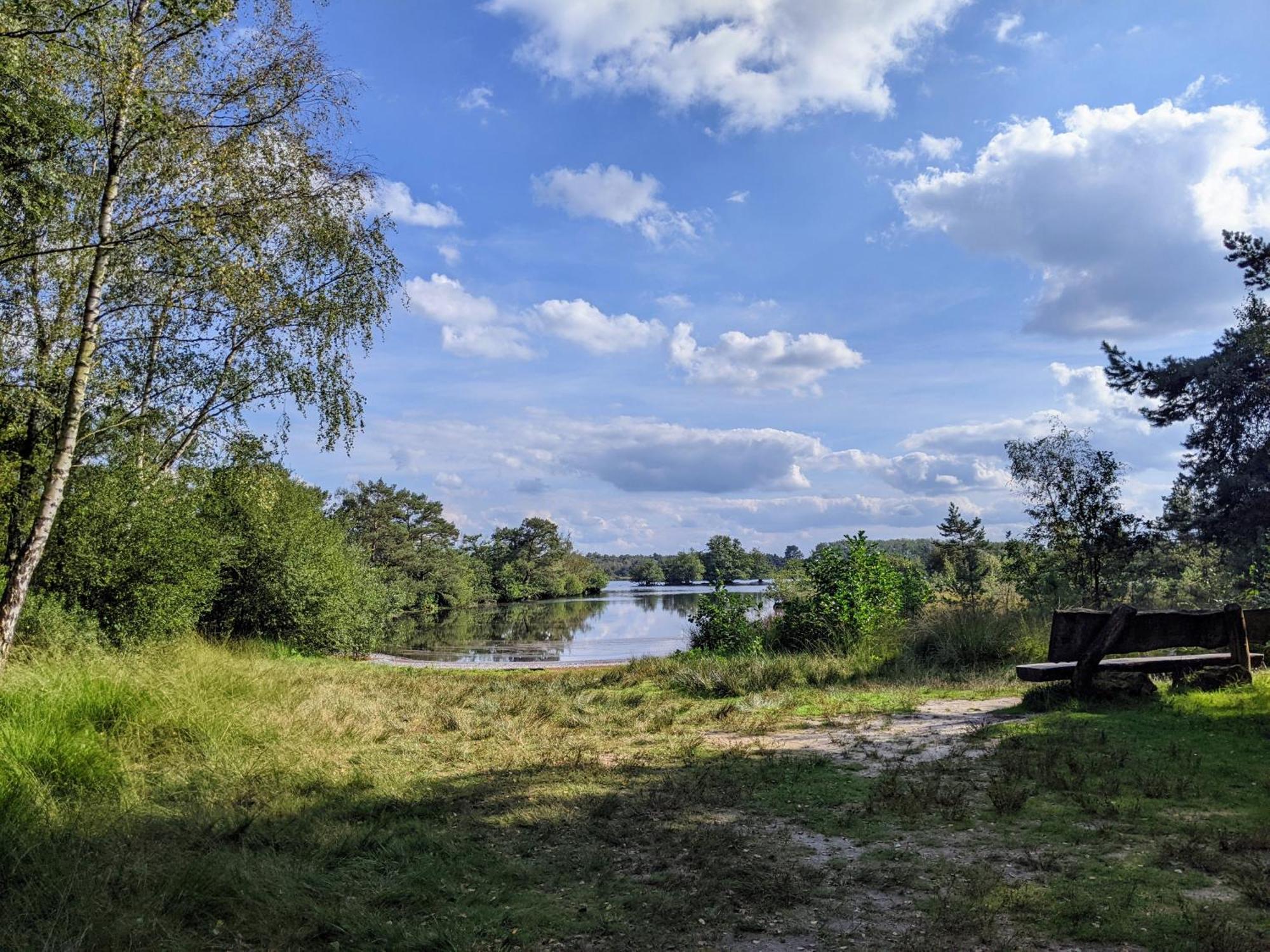 Sfeervol Chaletje In Een Rustige Bosrijke Omgeving Diessen Exterior photo
